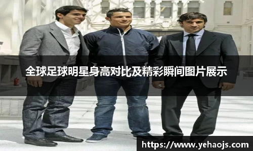 完美体育365平台官网