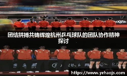 完美体育365平台官网