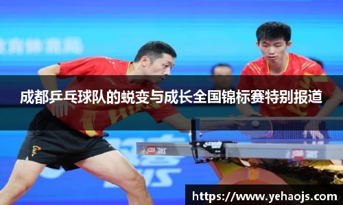 完美体育365平台官网