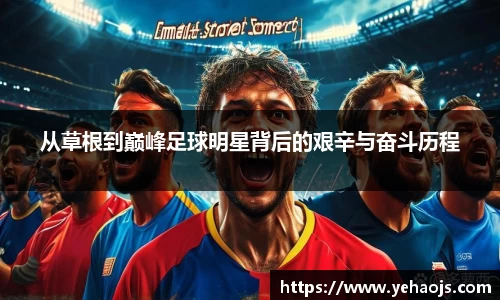 完美体育365平台官网