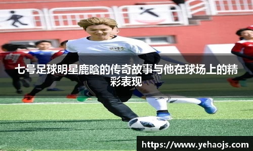 完美体育365平台官网