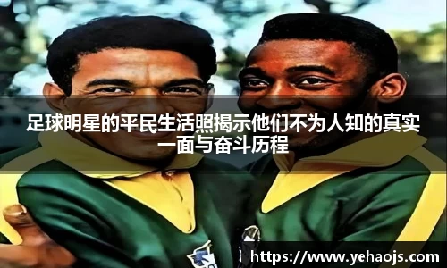 完美体育365平台官网